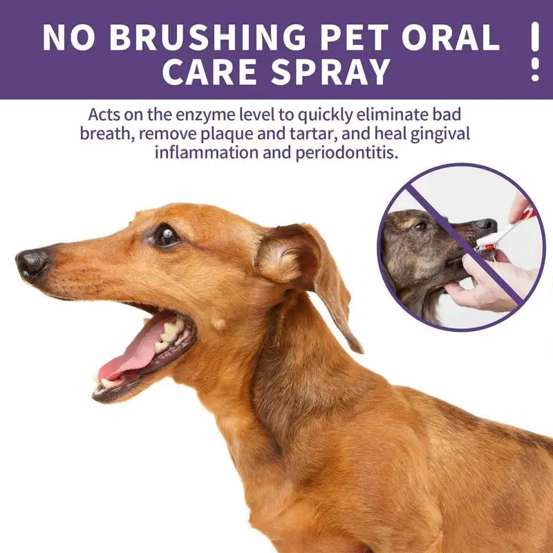 FreshSmile 50ml Pet Oral Spray: Clean Teeth & Fresh Breath for Dogs & Cats - Calculus & Odor Fighter