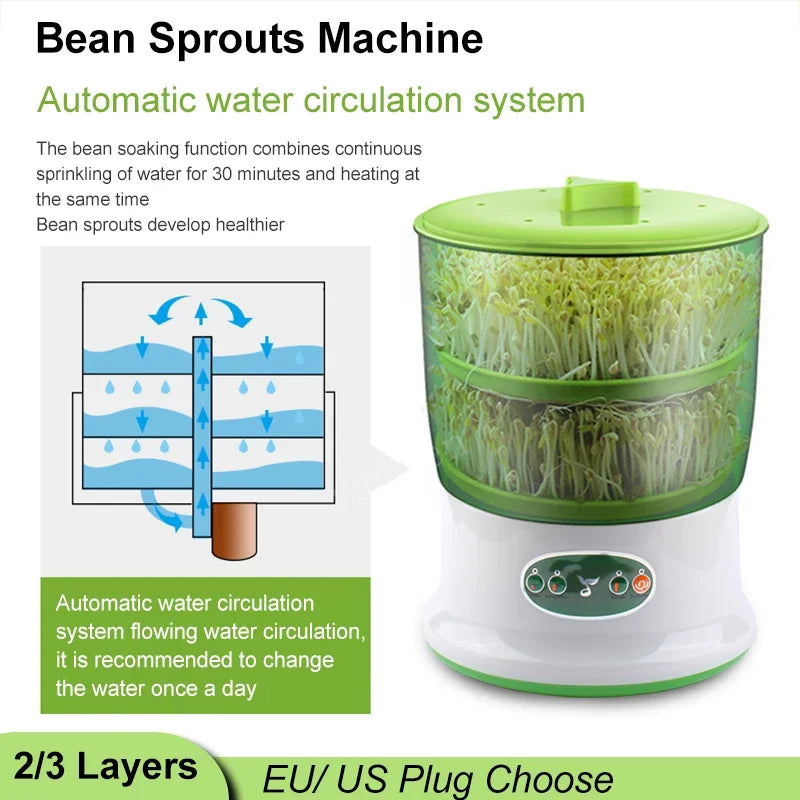 Intelligent Bean Sprout Maker: Automatic Thermostat-Controlled Germination Machine for Fresh Greens