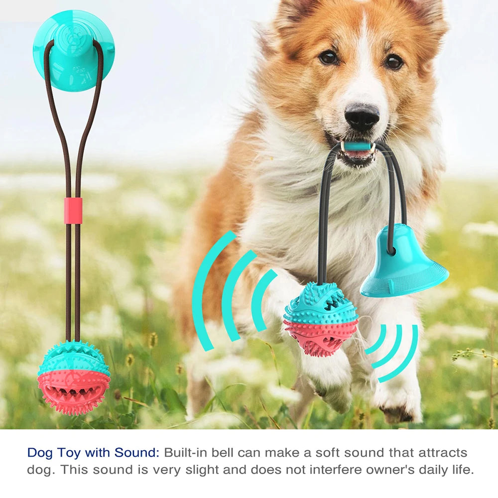 Suction-Cup Molar Rope Toy: Durable Chew & Tug Play for Dogs - Self-Entertaining Teeth Cleaning Tool