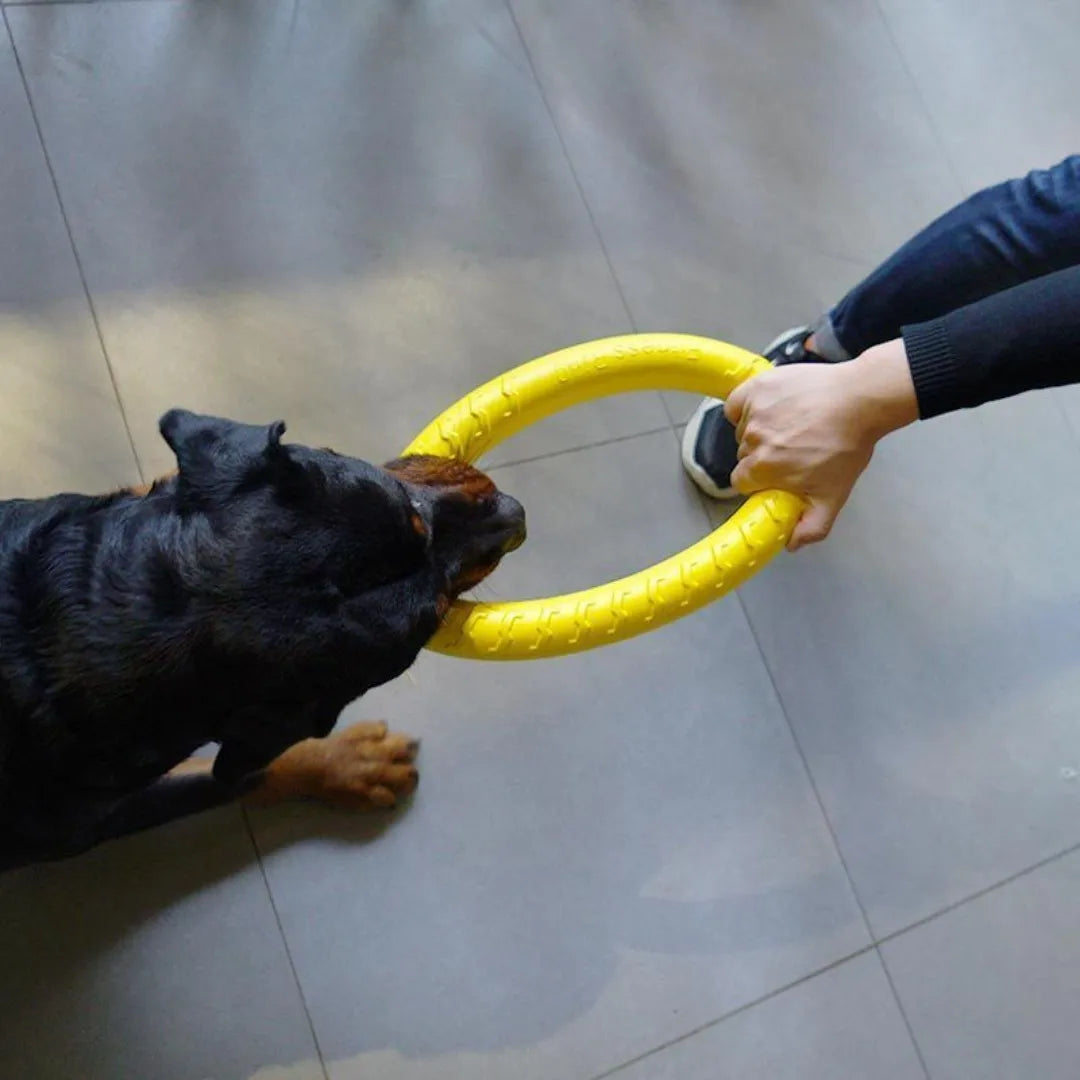 Ultra-Durable Dog Ring Toy: Perfect for Fetch, Float, and Chew - Ideal for All Sizes